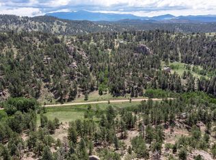 717 Canyon Dr, Florissant, CO 80816