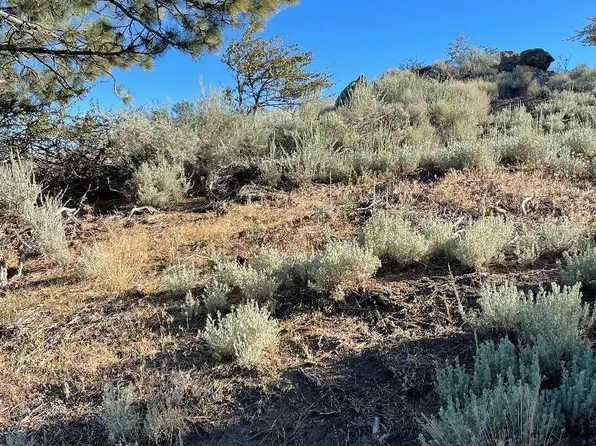 26710 Stirrup Way Parcel 2, Tehachapi, CA 93561