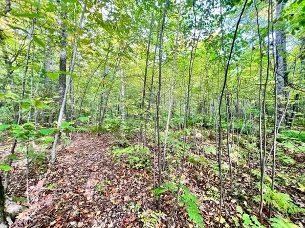 Lot 9 Peninsula Road, Hayward, WI 54843