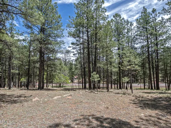 2132 W Pine Valley Road, Happy Jack, AZ 86024