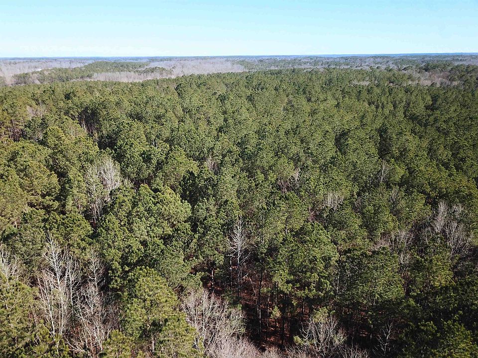 2nd image of County Road 4141