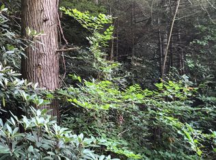 Stock Creek Way, Duffield, VA 24244