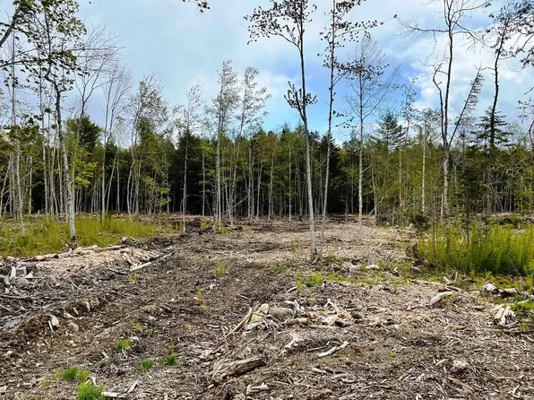 Lot #7 Hammond Brook Road, Monson, ME 04464