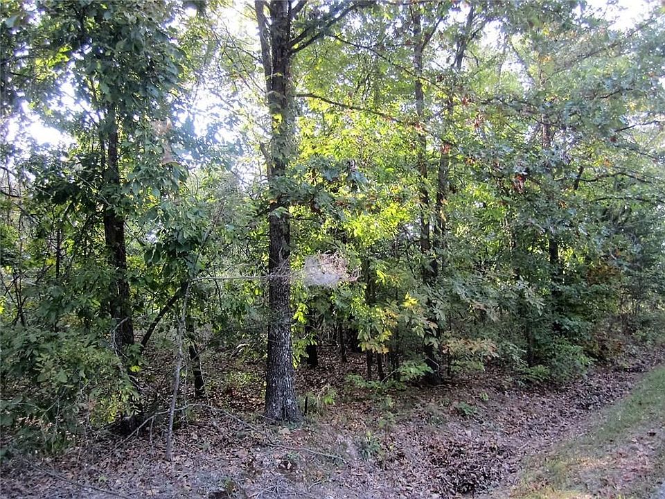 2nd image of Lune Ln