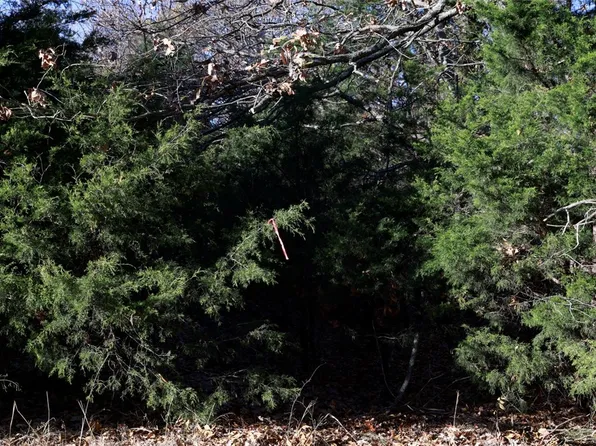 0 Sharps Mountain Rd, Prairie Grove, AR 72753