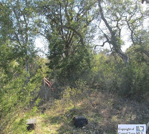 5th image of 346 Cambridge Dr