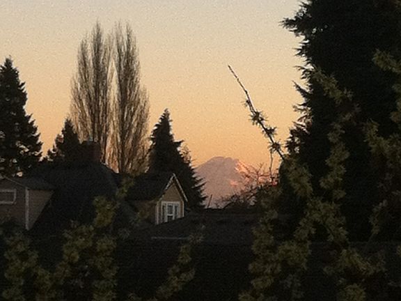 Views of Mt. Rainier