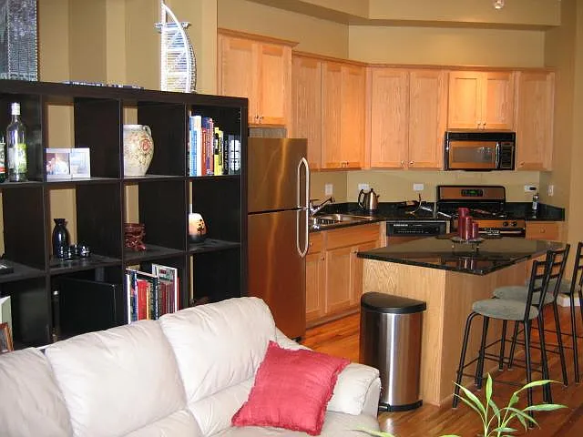 1919 S Michigan Ave #300 — Photo 4