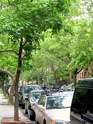 Sold by Sotheby's International Realty | media 13