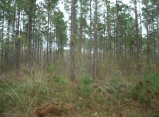 132 Dry Swamp Rd, Cordova, SC 29039