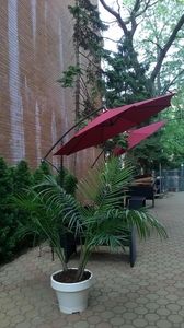 140-17 84th Dr APT 3C, Jamaica, NY, 11435