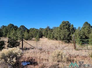 Swordfish Dr, Thoreau, NM 87323
