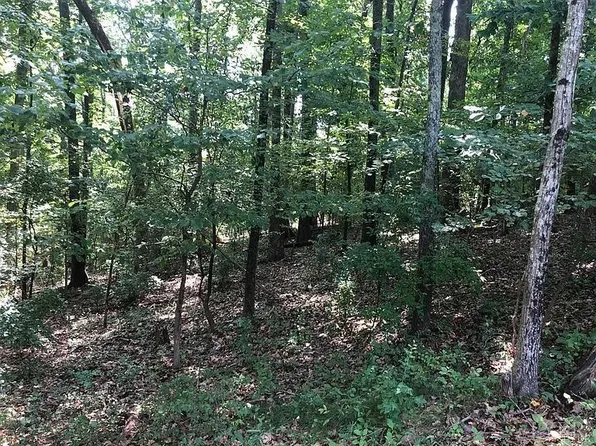 104 Arlington Heights Dr, Lynchburg, VA 24501