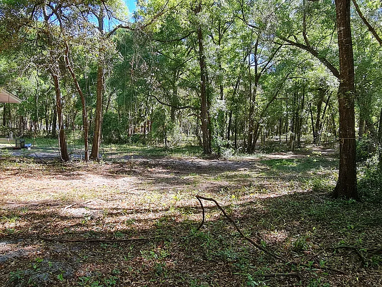 General Ln — Photo 4
