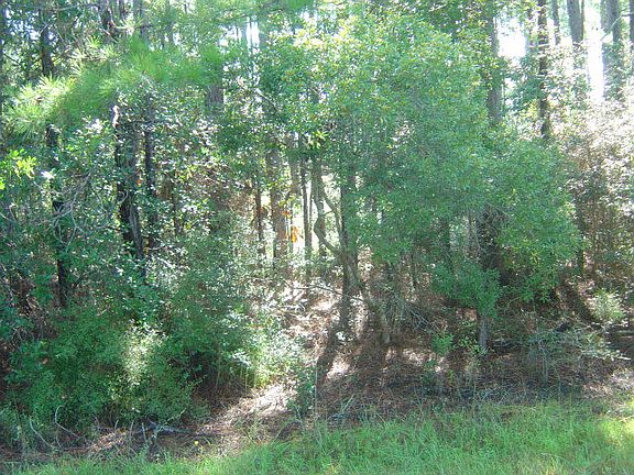 2nd image of Ridge Rd
