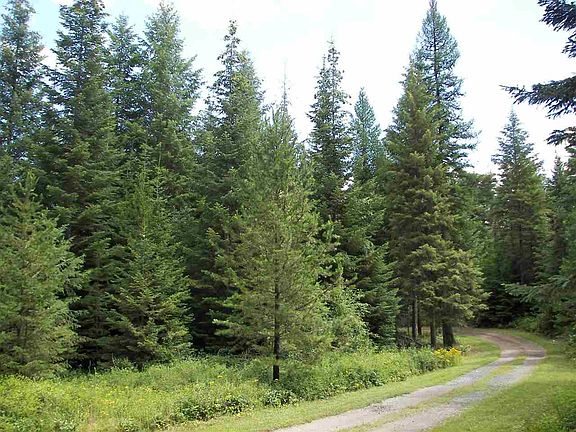 4th image of 1880 Blue Creek Rd