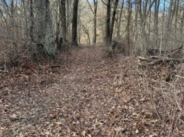 E 900th Rd, Dugger, IN 47848