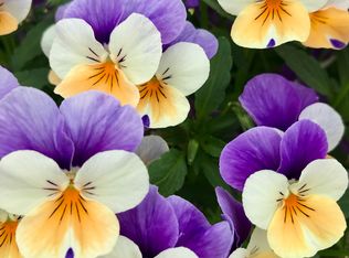 2705 Rocky Glen Way, Ellicott City, MD 21043