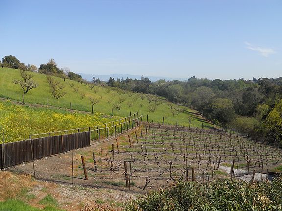 Vineyard & Orchard, Feb