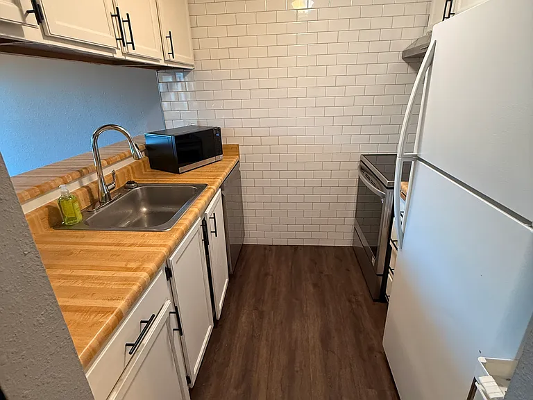 Kitchen, dishwasher on the left, stove and refrigerator on the right