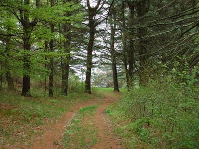 159 Hillsdale Rd, Egremont, MA, 01230