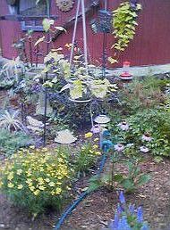 Garden in back in full bloom.