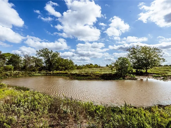 Tbd Fm 1372, North Zulch, TX 77872