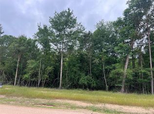 Ellwood Dr, Livingston, TX 77351