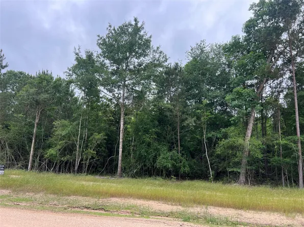 Ellwood Dr, Livingston, TX 77351