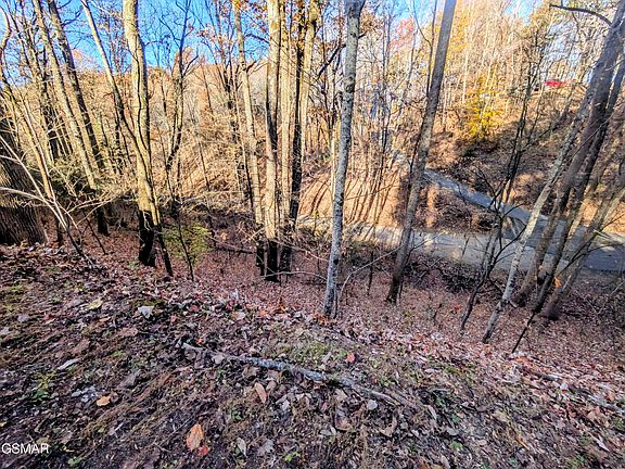 2nd image of LOT-194A Ski View Ln