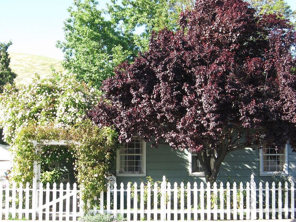 View of home from across the street