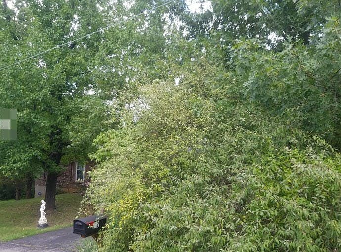 32 Country Ln, Festus, MO 63028 Zillow