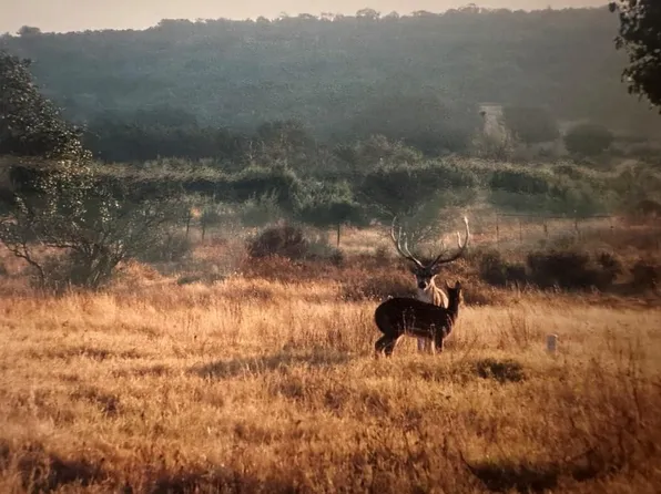 5416 County Road 102, Ozona, TX 76943