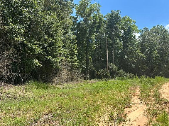 4th image of Piney Grove Rd