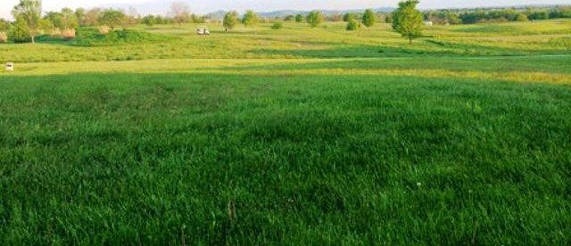 2nd image of 0 Battlefield Ests