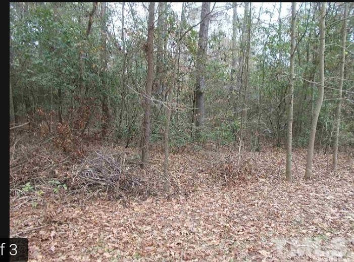 2nd image of 166 Deer Hound Dr