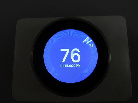 Nest control
