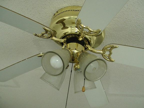 large decorative fan