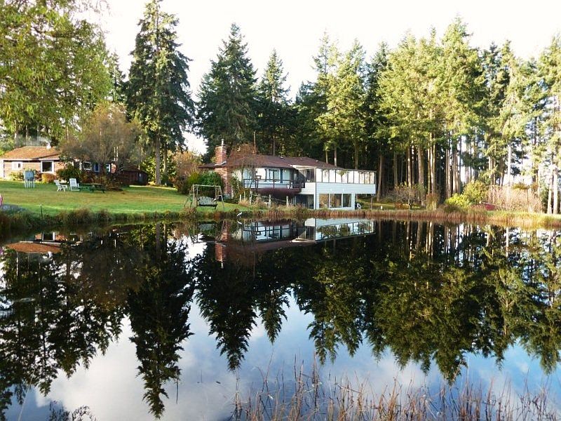 Reflection in pond