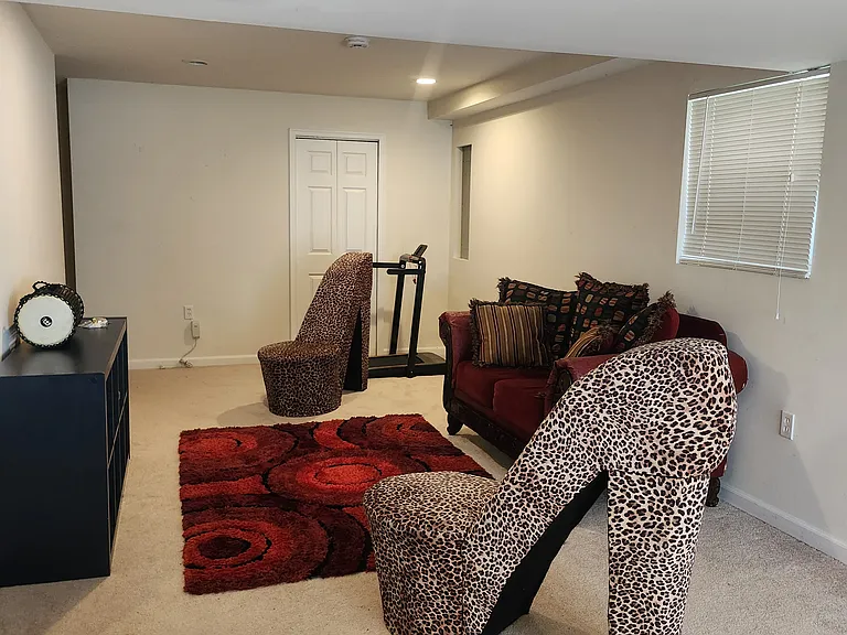 11051 Birchtree Ln #BASEMENT — Photo 7