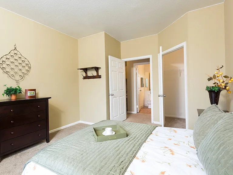 Bedroom with Large Closet