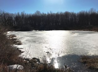 Kelly Bridge Rd, Liberty, NY 12754