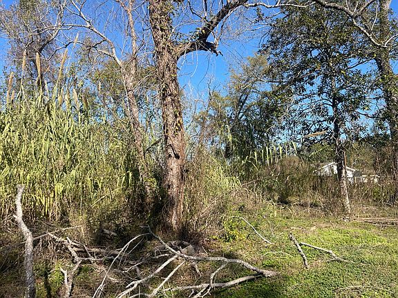 3rd image of 1206 Buck Hollow Dr