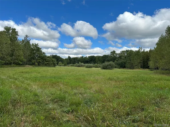 1 Newark Rd, Attica, MI 48412