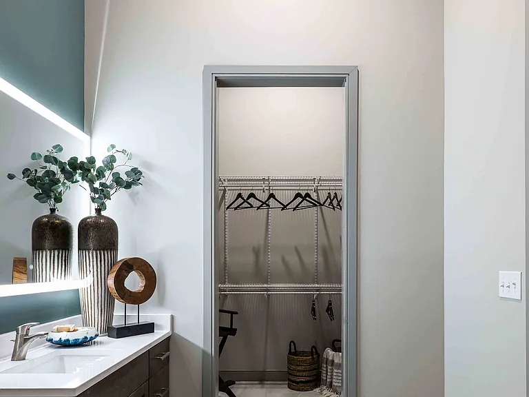 Bathroom and walk-in closet