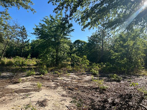 4th image of 0 Pearl Bonnet Rd