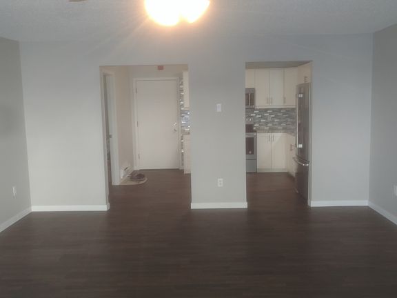 New vinyl plank flooring