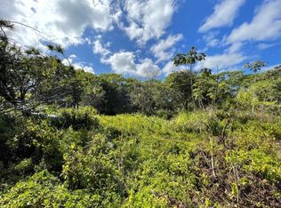 13 Mile Rd LOT 25, Kurtistown, HI 96760