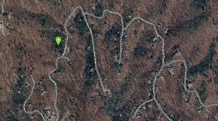 615 Woodland Trce photo 1