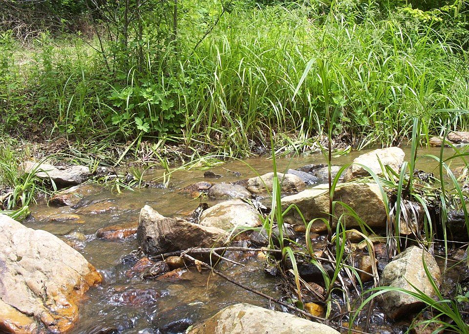 17 Nursery Rd, Laurel Fork, VA 24352 Zillow